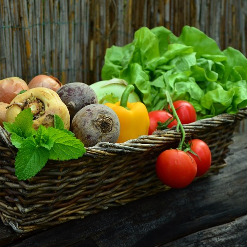 Kleingartenflächensicherungsgesetz