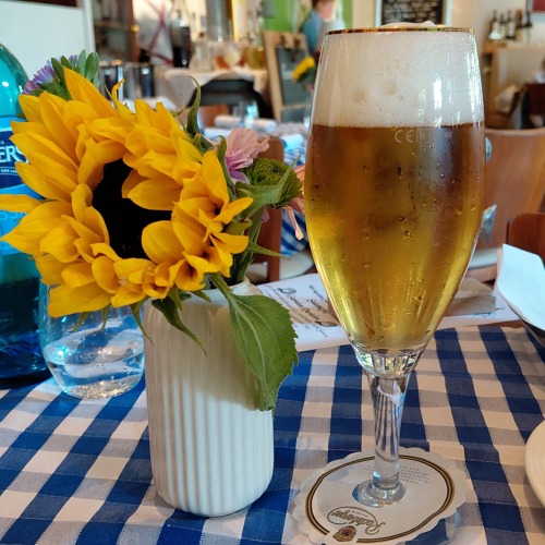 Abendschoppen🍻